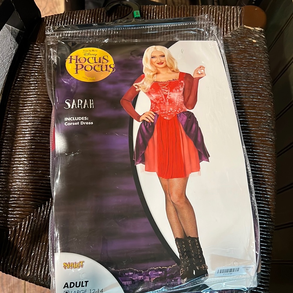Hocus Pocus Sarah Costume